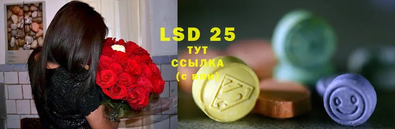 LSD-25 экстази ecstasy  Петропавловск-Камчатский 